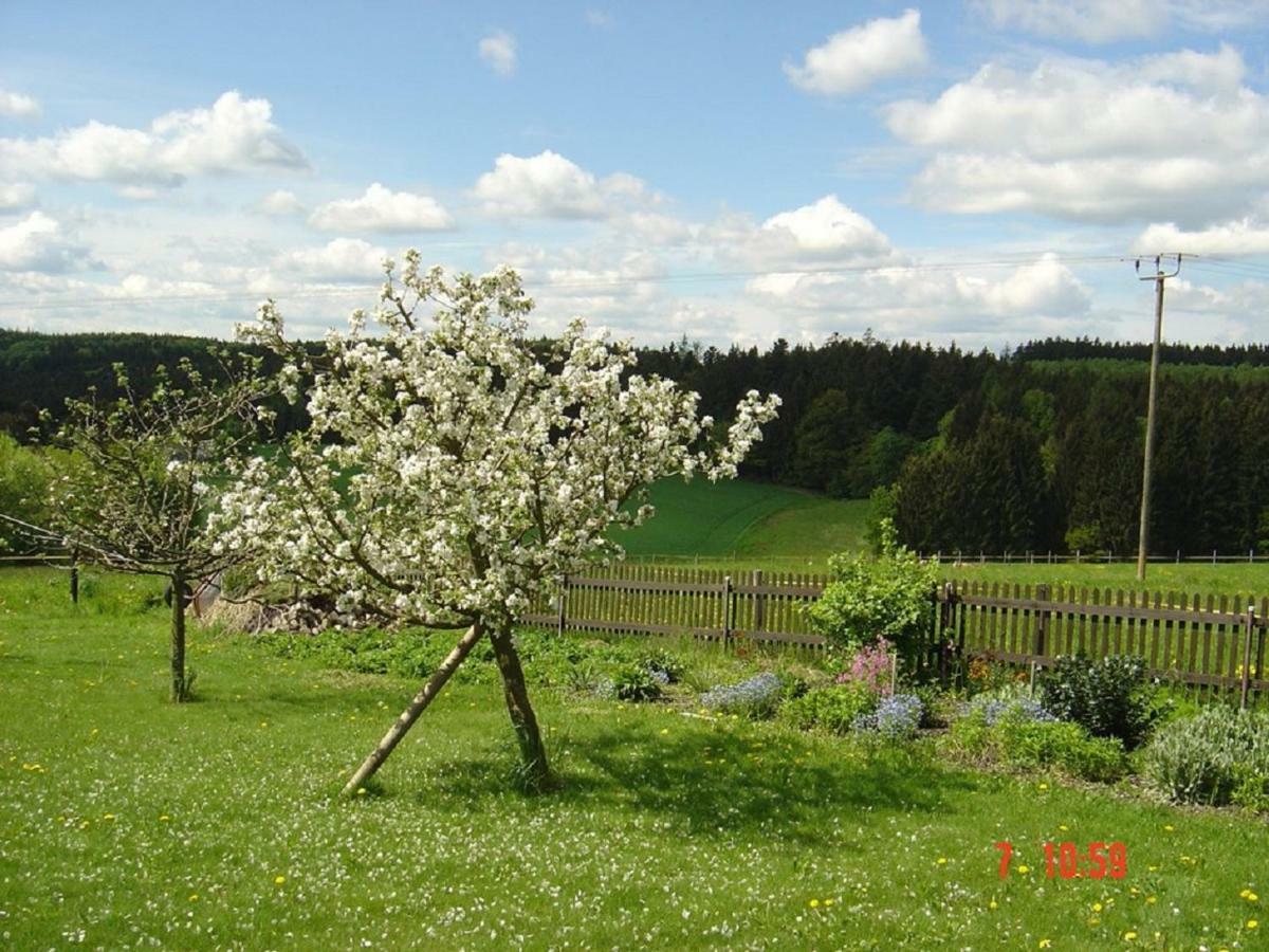 Pension Steiger Bad Griesbach im Rottal Exterior foto